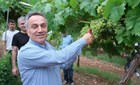 TOGÜ’NÜN BAĞLARINDA ÜZÜM BEREKETİ: SEZONUN İLK HASADI GERÇEKLEŞTİRİLDİ